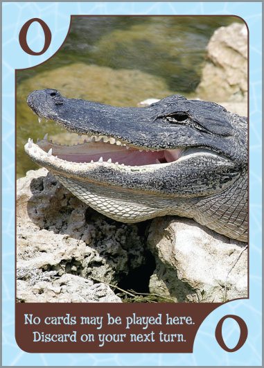 Alligator card